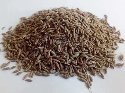 Cumin Seed